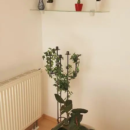 Evi's Regensburg